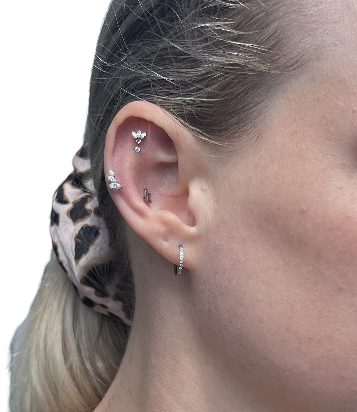 Titanium and CZ Hinged Segment Clicker Hoop