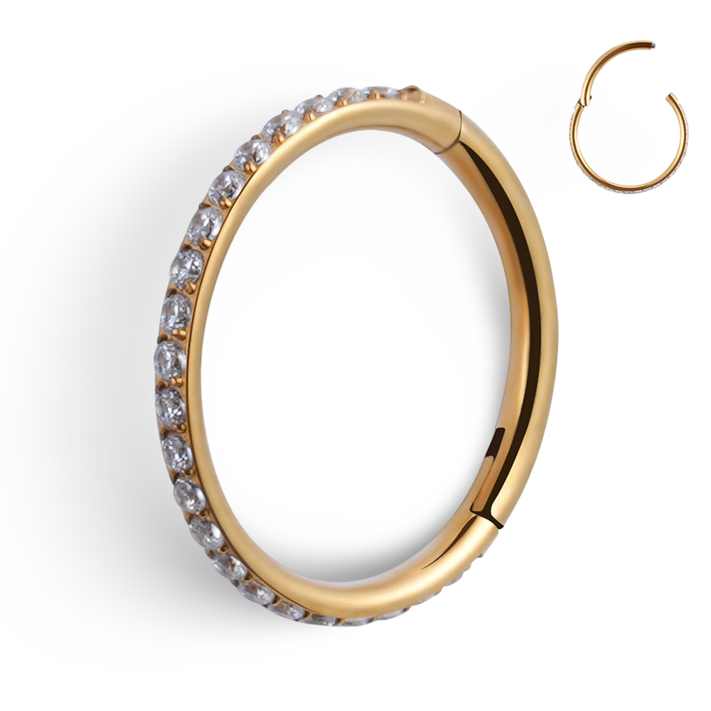 Titanium and CZ Hinged Segment Clicker Hoop